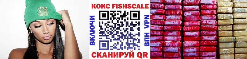 Cocaine FishScale  купить  сайты  Снежинск 