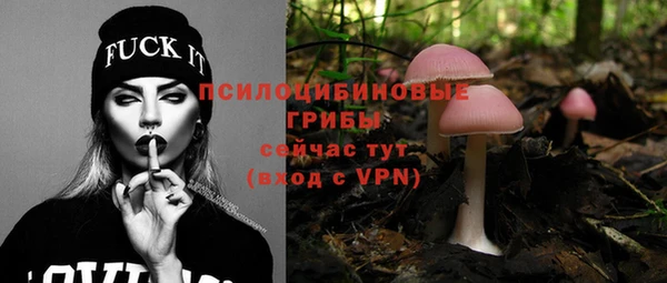 a pvp Карпинск
