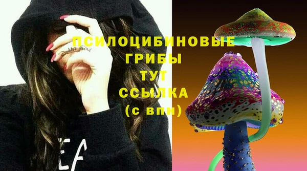 a pvp Карпинск