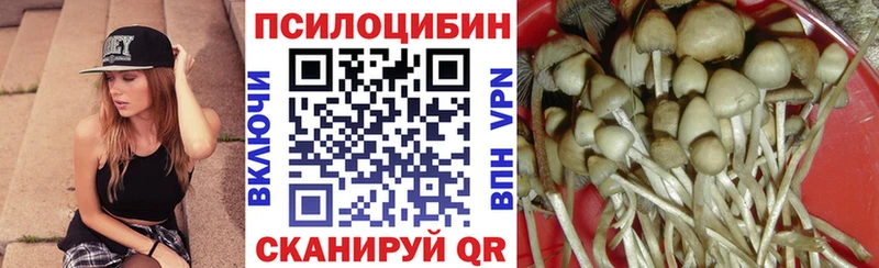 Псилоцибиновые грибы Cubensis  купить   Снежинск 